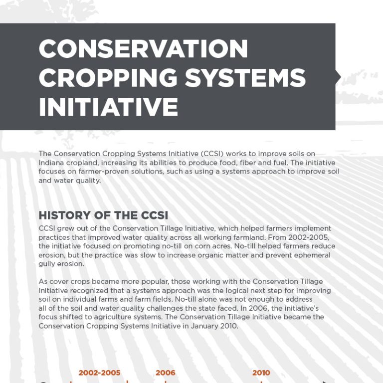 Resources ccsi executive