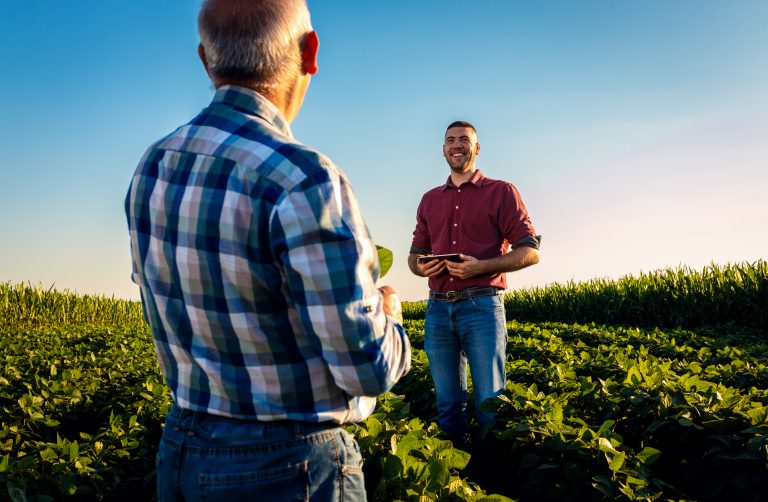 two farmers talking in a field examining soy crop.