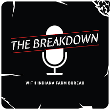 infb the breakdown 225