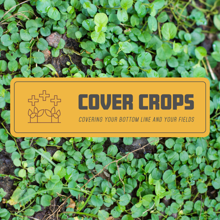2026 update cover crop program one pager 1